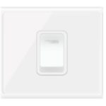 1 GANG D/P SWITCH W/NEON 45A 250V