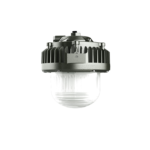 Explosion proof hanging lamp 50/80 W